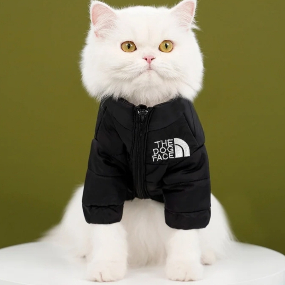Color Matching (For Cats Or Dogs) Big Dog Cotton-Padded Coat - Black NEW - Picture 1 of 4